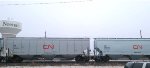 CN 113991